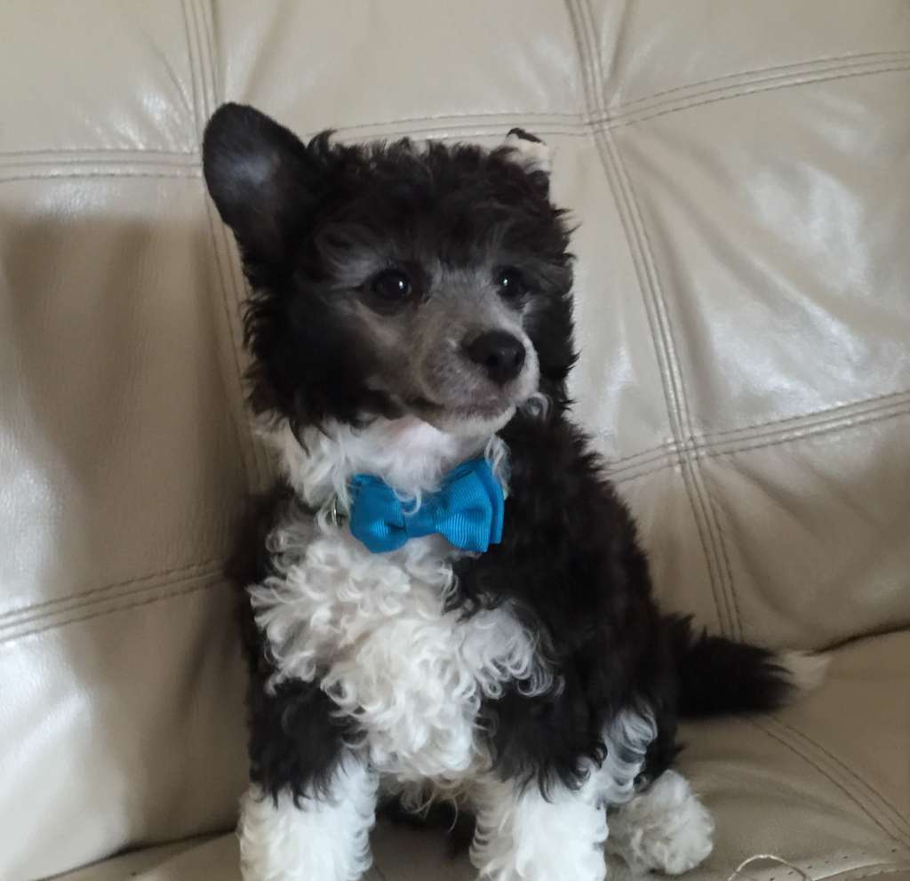 Friesen, Gardine and Specter Esq.