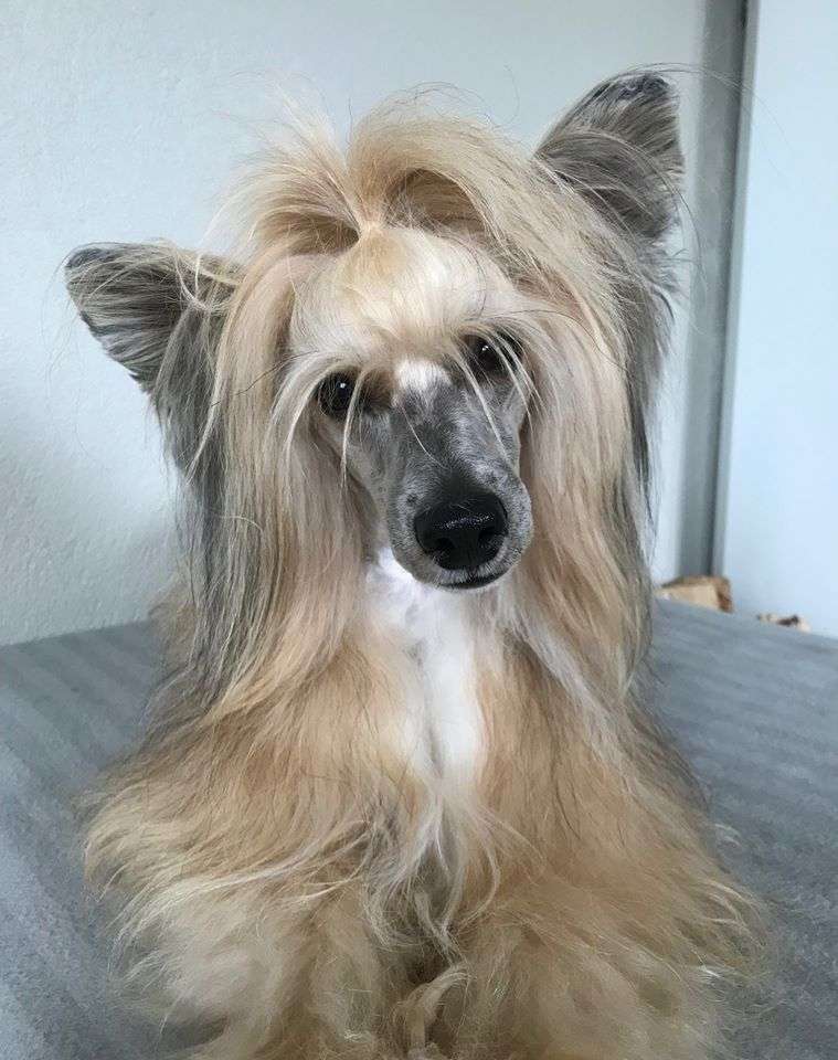 Maybell's Wild Wild West