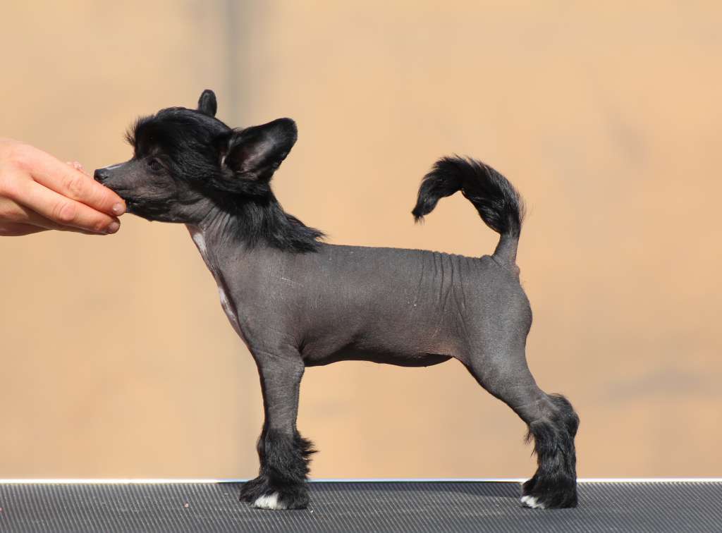 Maybell's Wild Child