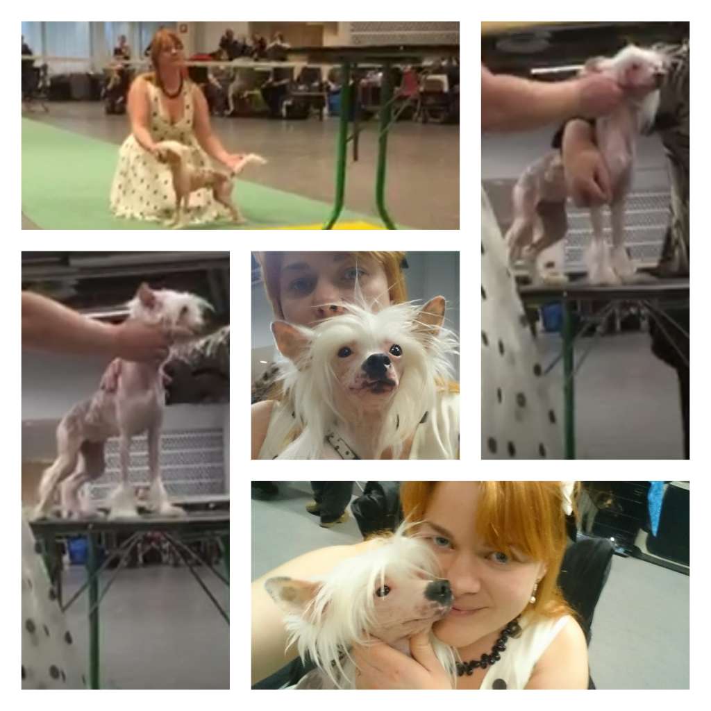 Harmony Dream Dark spot magic witch