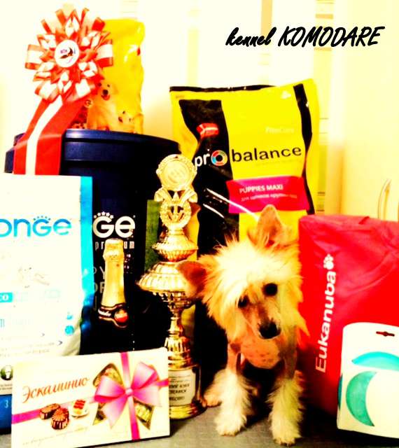 Komodare Andora-La-Wella