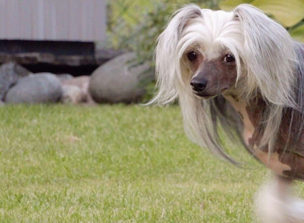 Spartace's One Of A Kind