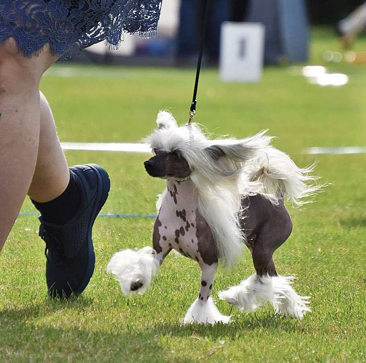 Spartace's Off The Record