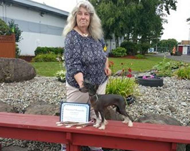 Razzmatazz Nightshade