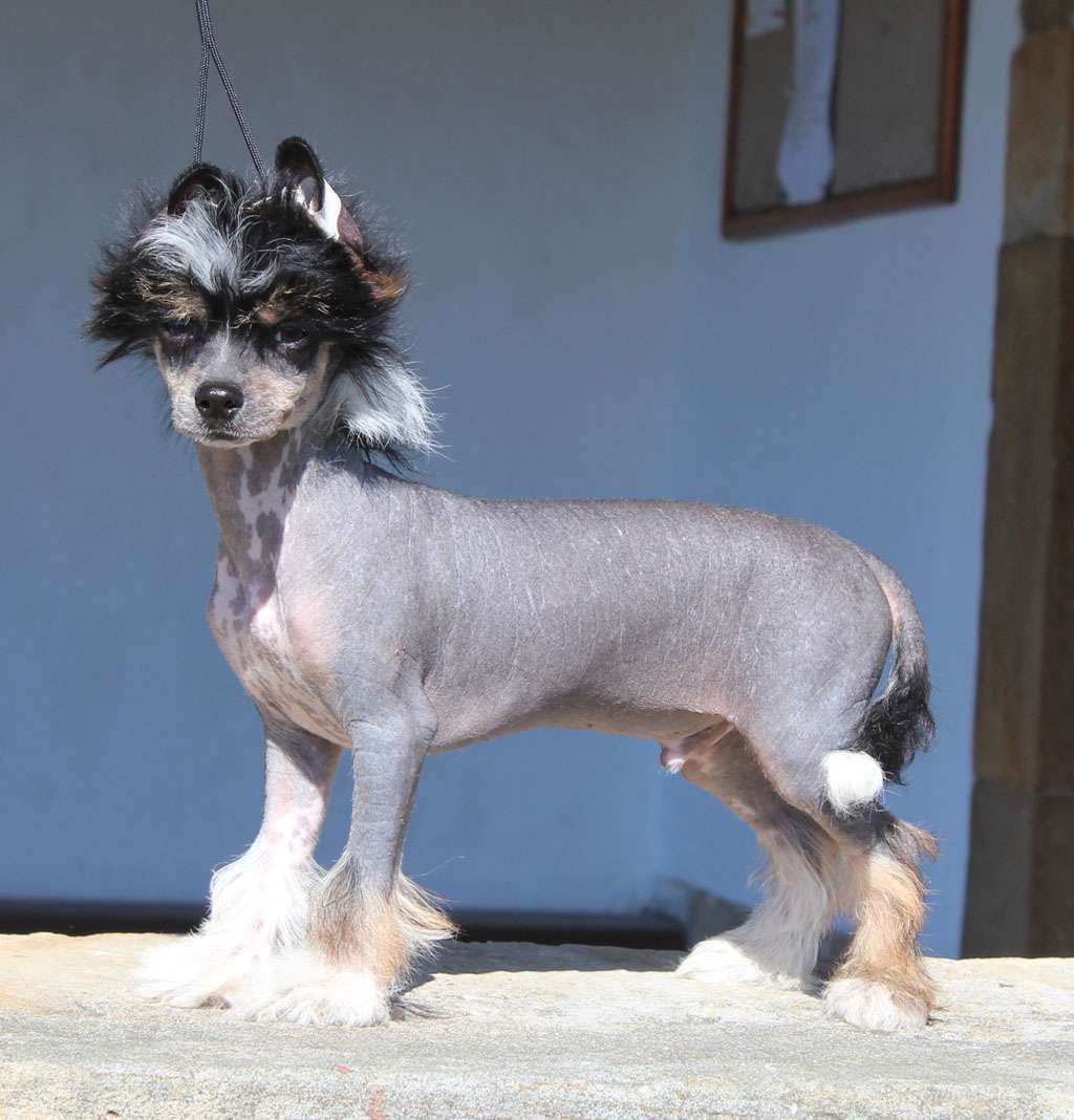 Half moon de Almamasan