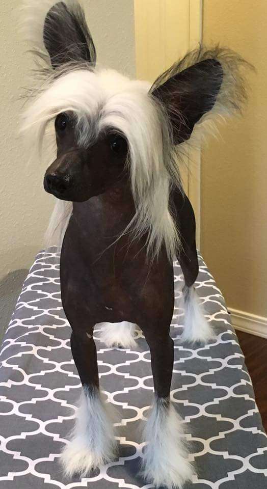 Fiery Fame Jewel Of My Kind