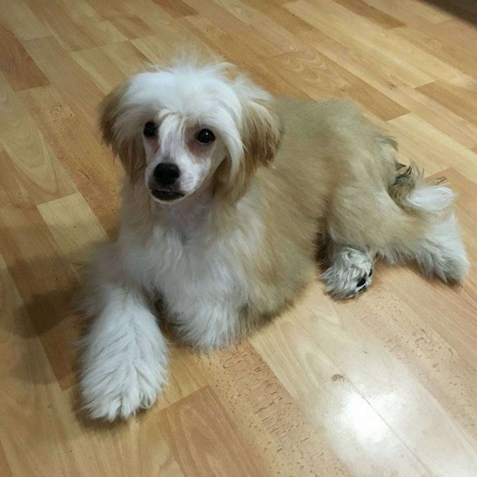 Pinky Twinky Rules Don't Apply