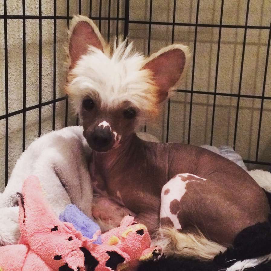 OhSo Bad To The Bone