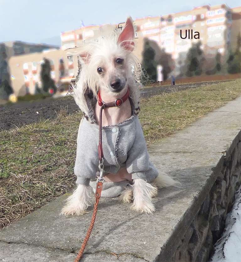 Rugen Miko Ulla is dreamy Lady