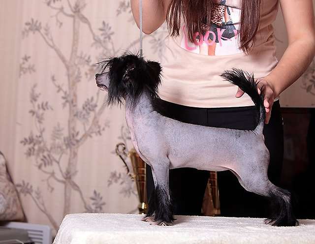 Fabeltier Catch A Hot One