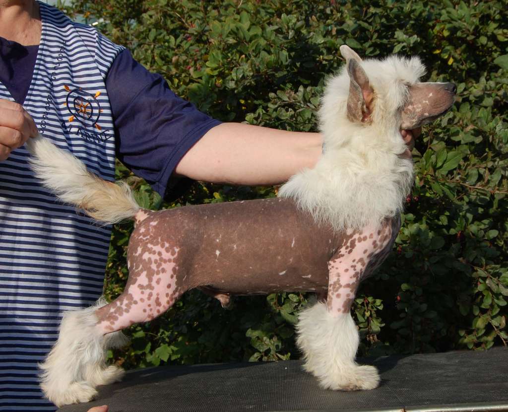 Gidaori Wind of Change