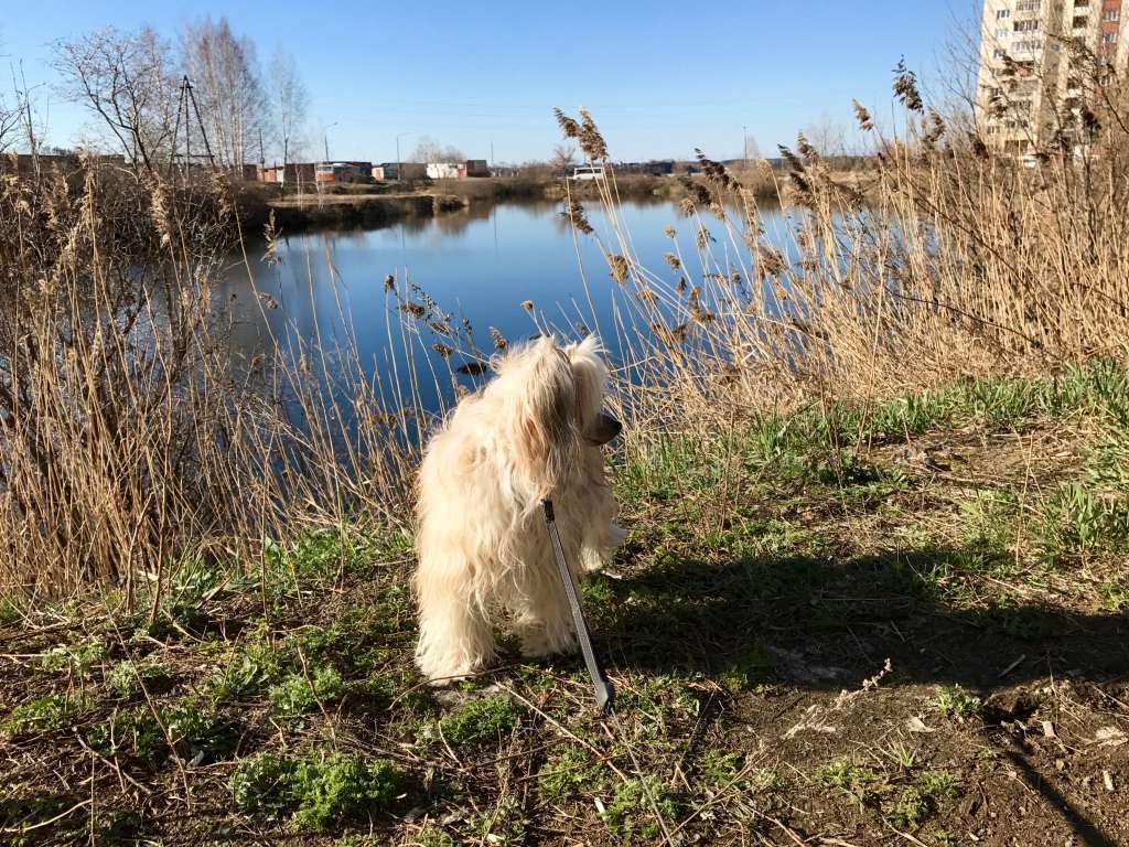 Regal Gooddess of Love Evelyn