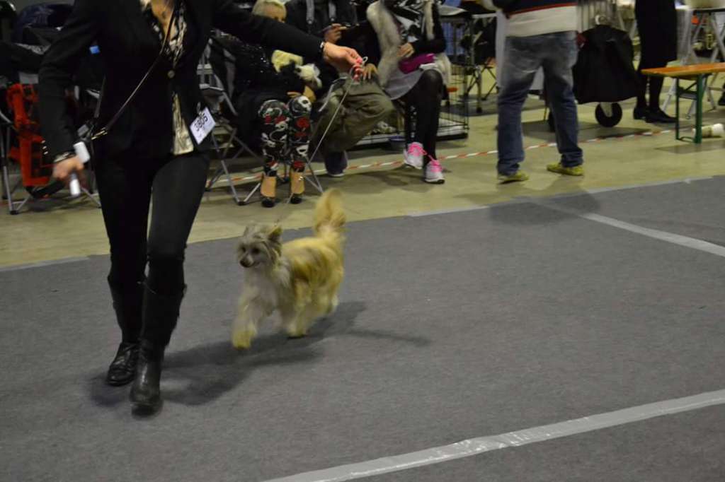 Miss Madmuazel Vahiné