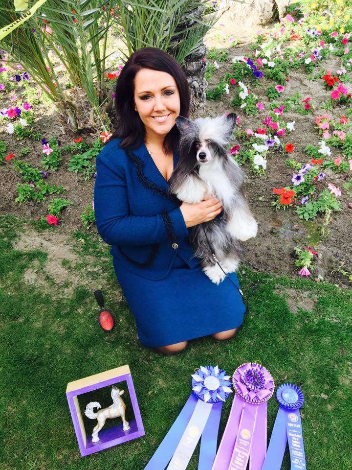 FaeryDreamer N' Les-Lee's Meet Me in St.Louis