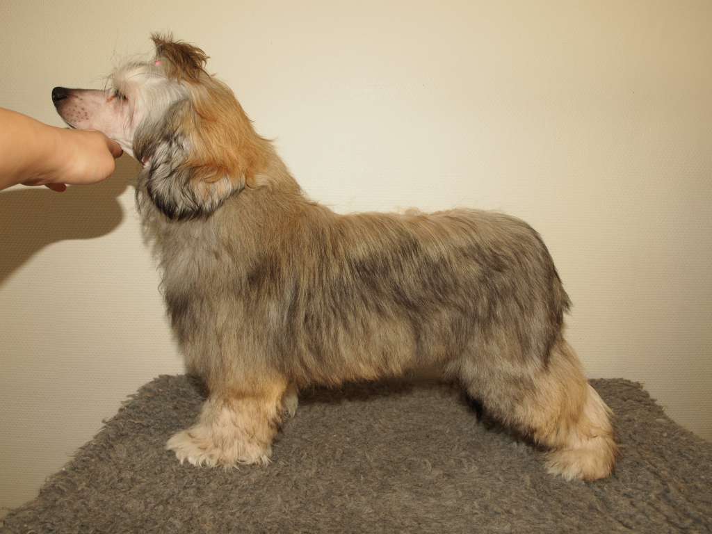 Lusiras Come clarity