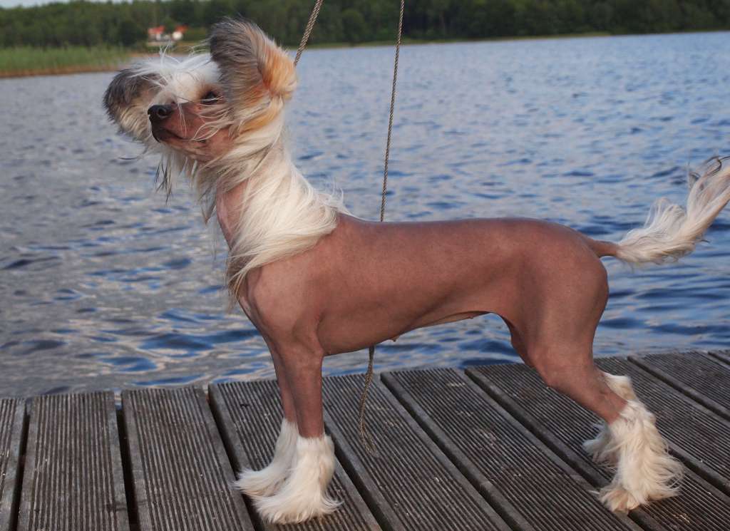 Lusiras Caught red handed