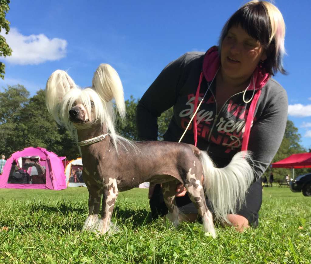 Inya Dreams Ooh La La