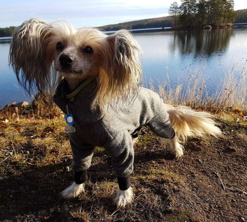 Andrakebyn's Abhishek Bachchan