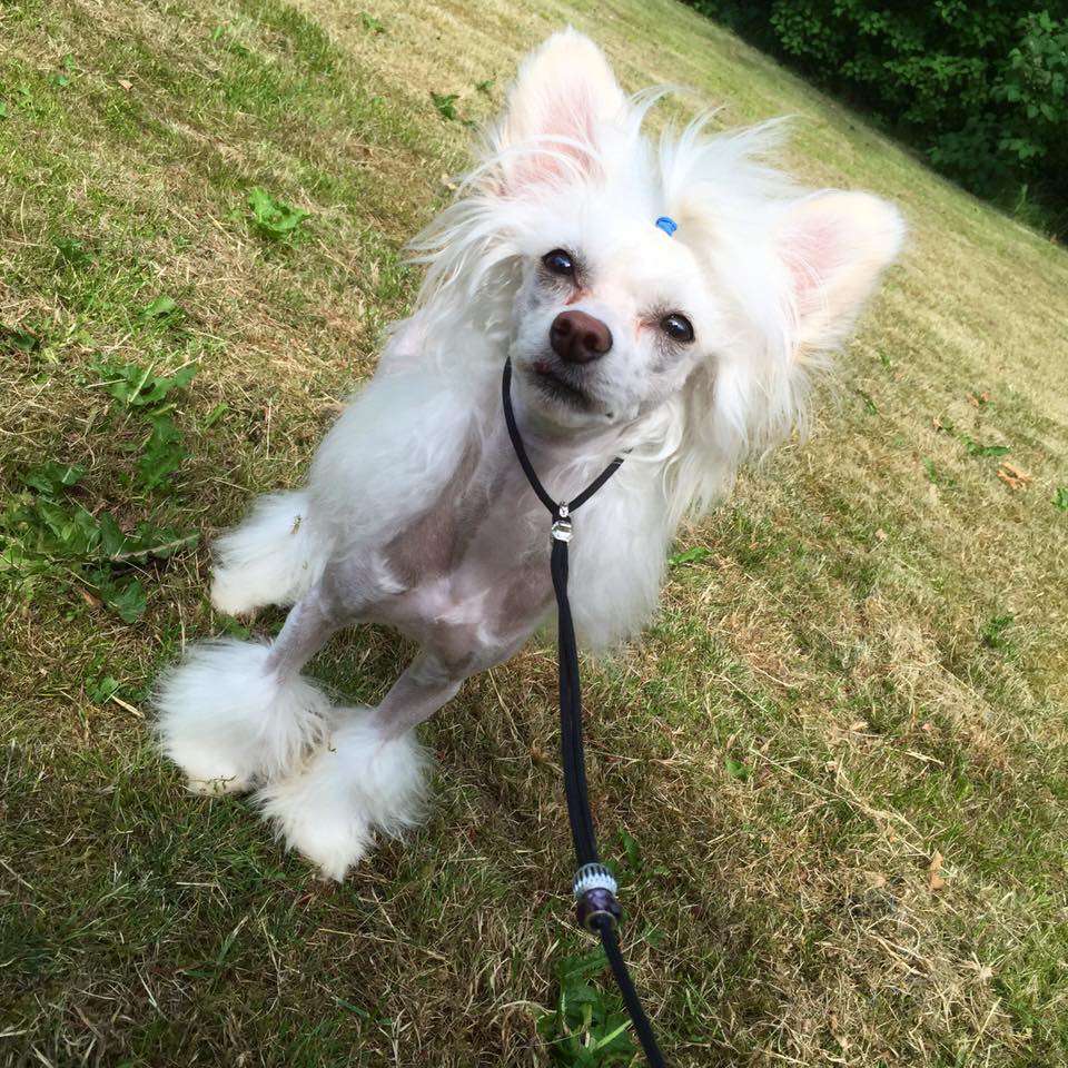 Speechless Eros Right To The Heart