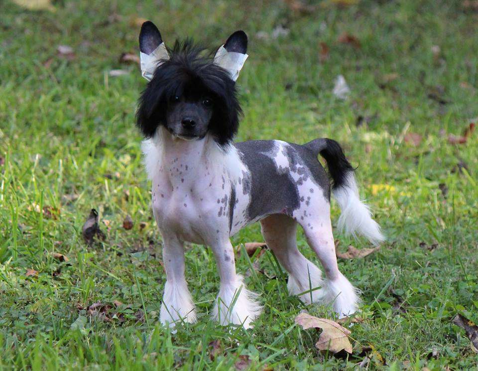 Sekhara Nothing On But The Radio