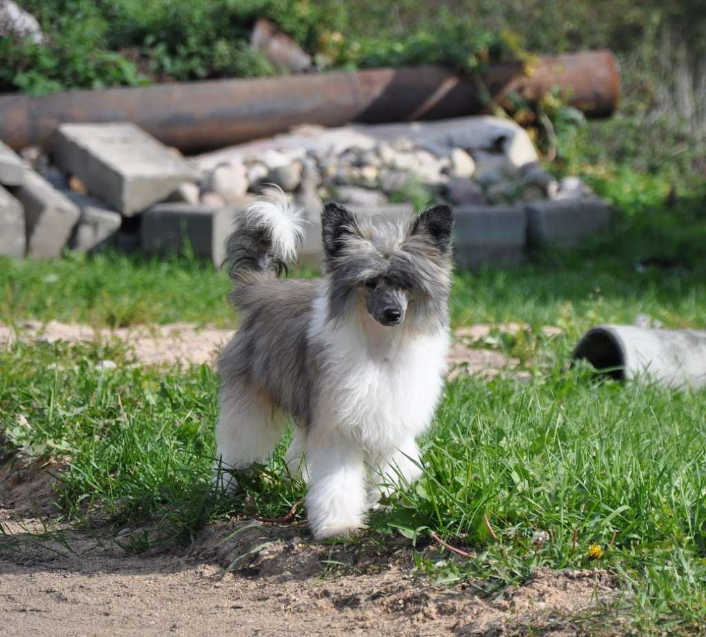 Mishata Winning Smile