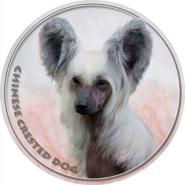 Amadeus Chinese Dynasty Family