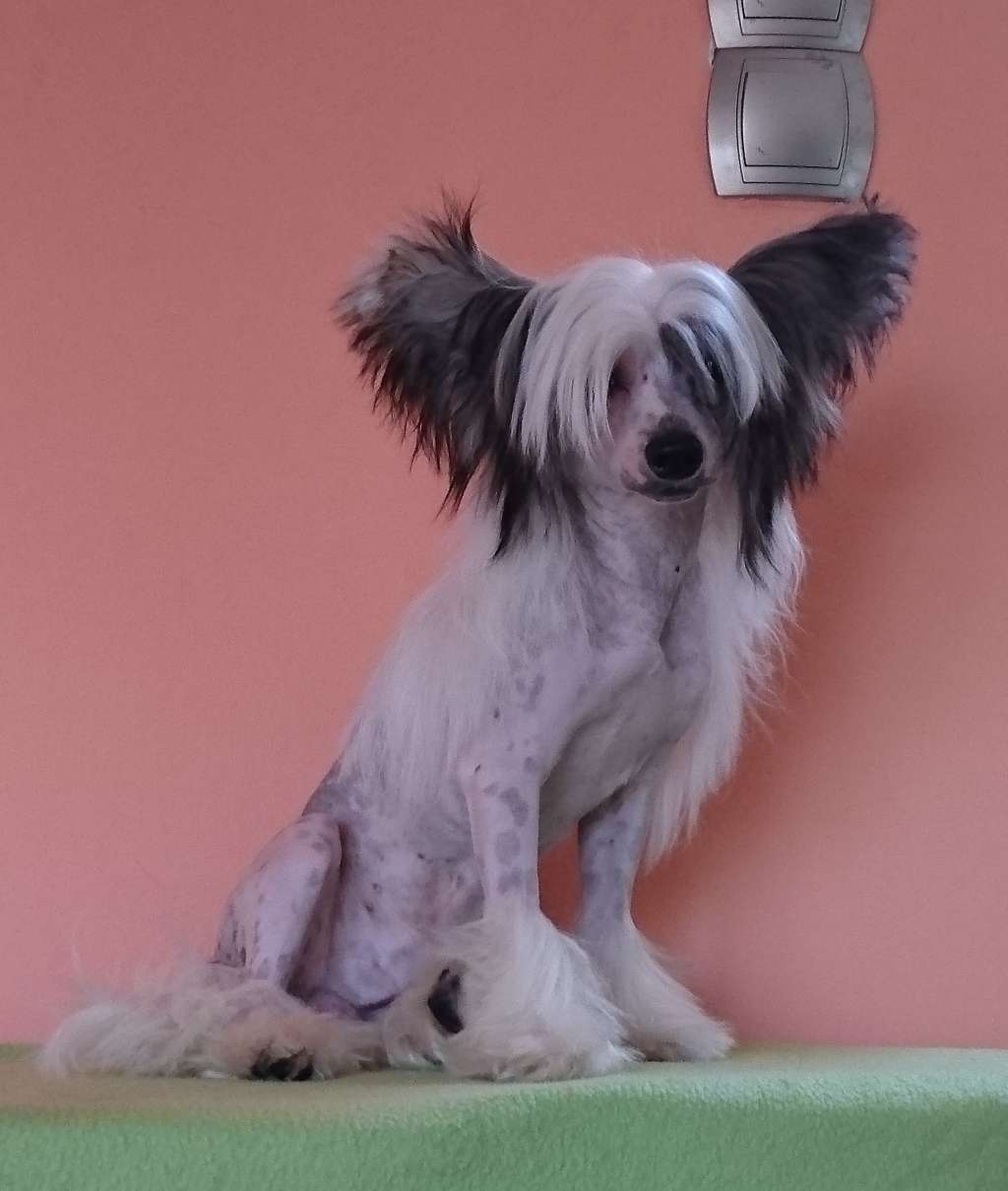 Fundoklia-völgyi Kaszanics Yamaha