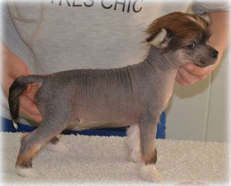 Moelmo's TNT Kamboooom