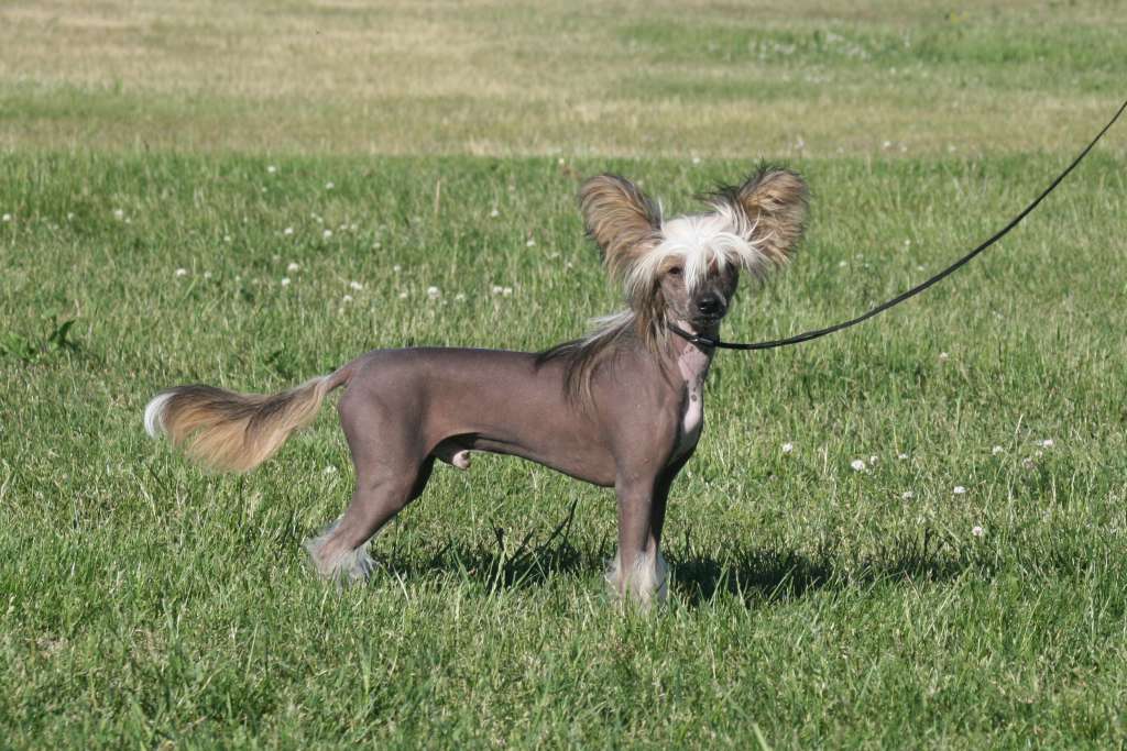 Lohamras Glad You'R Mine