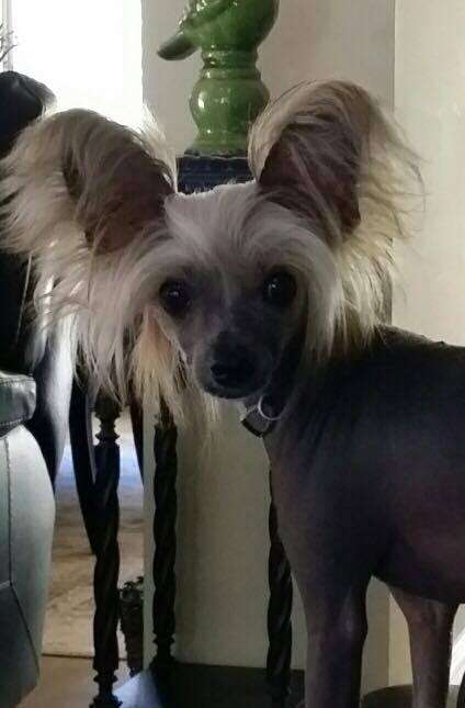 Magic of Success Angel Of My Soul