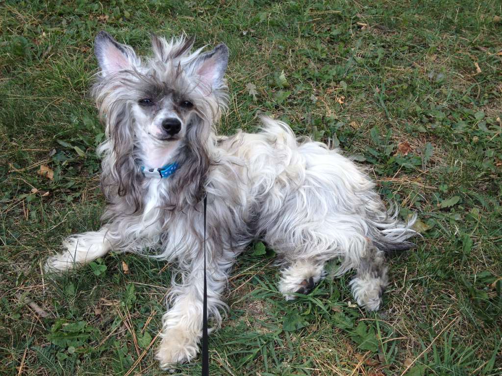 Magic of Success Arline Forever  In Your Mind