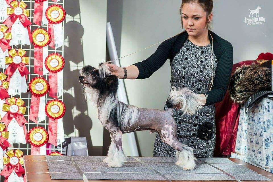 Chebens Tebel Uta Jazz