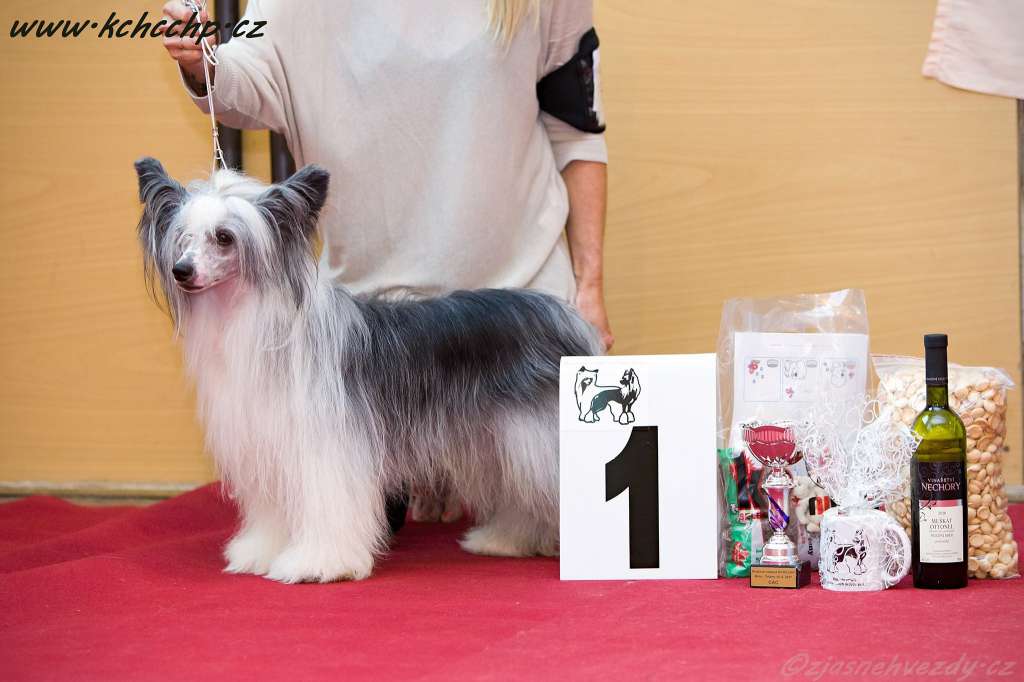 Don Giovanni z Valdorfskych lesu