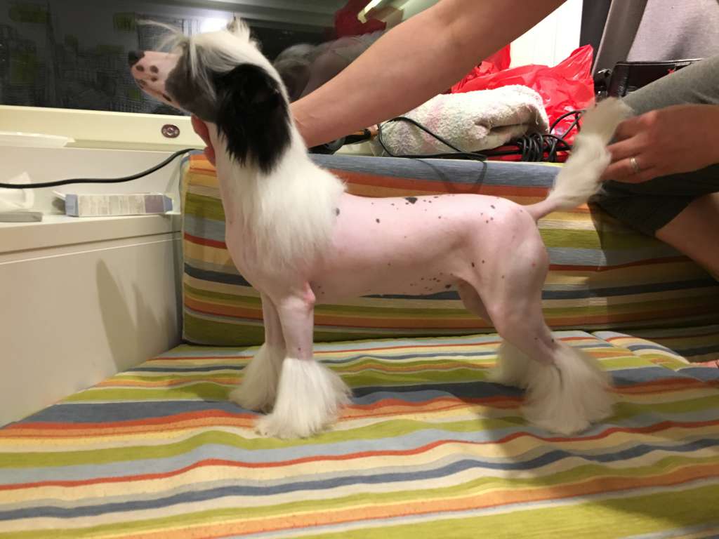 Valanyan Over The Moon