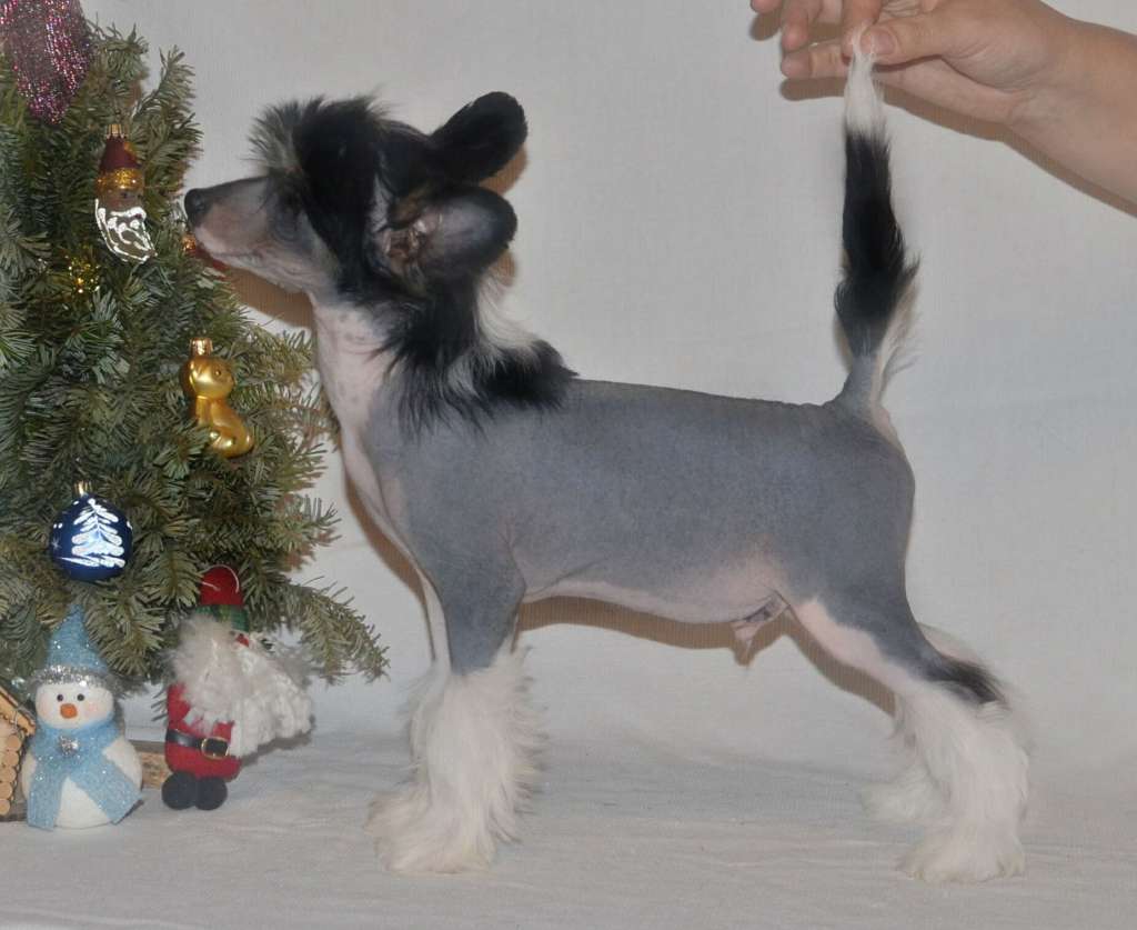 Magic of Success Be Ahead of All