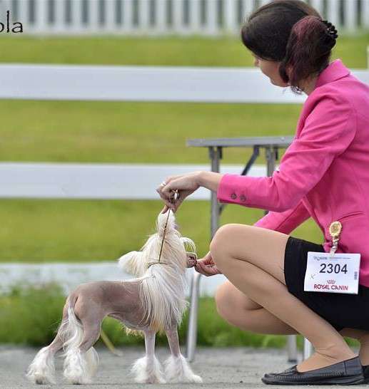 Zinnystars Be Good To Joyway's