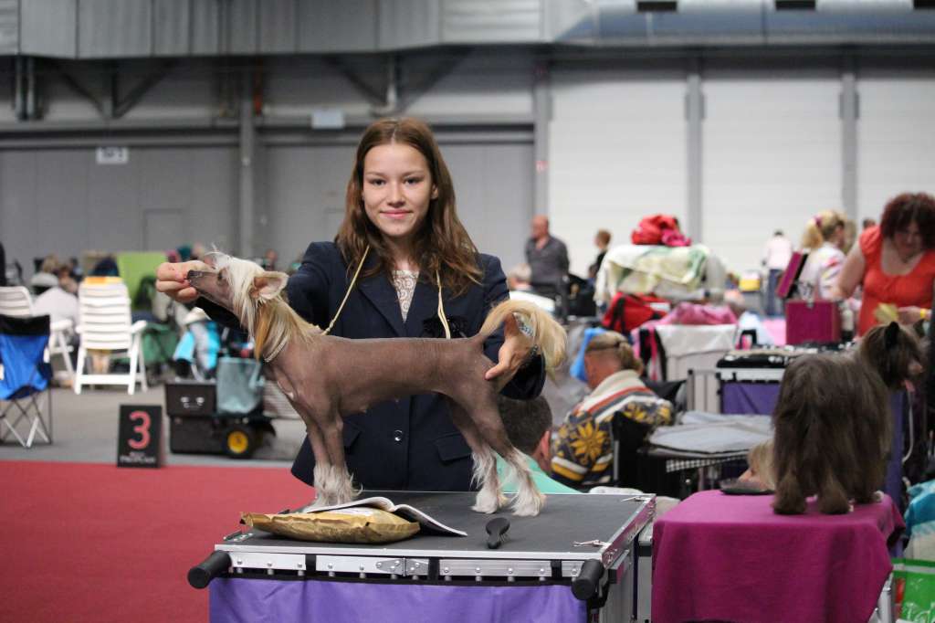 Little Dog Of Dream L'Impératrice