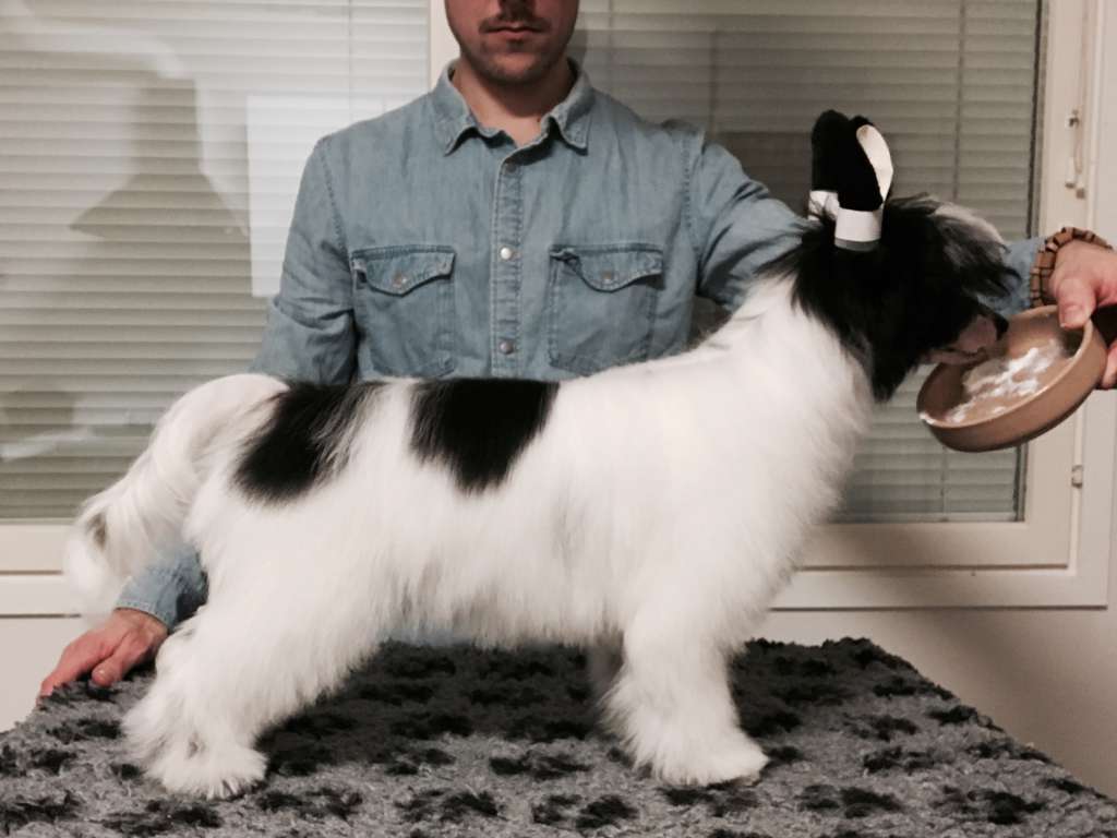 Etno Spirit  Looks Perfect