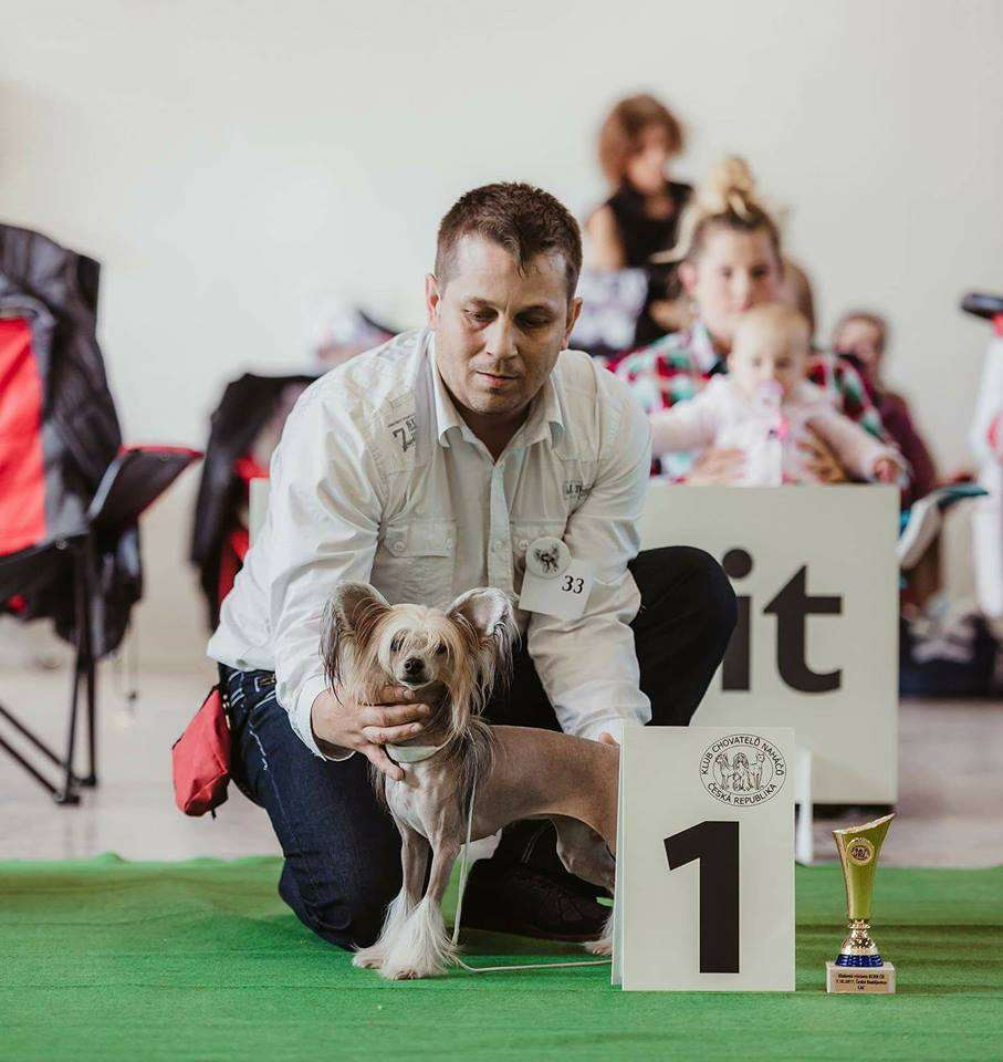 Angee Imaginedeityyork