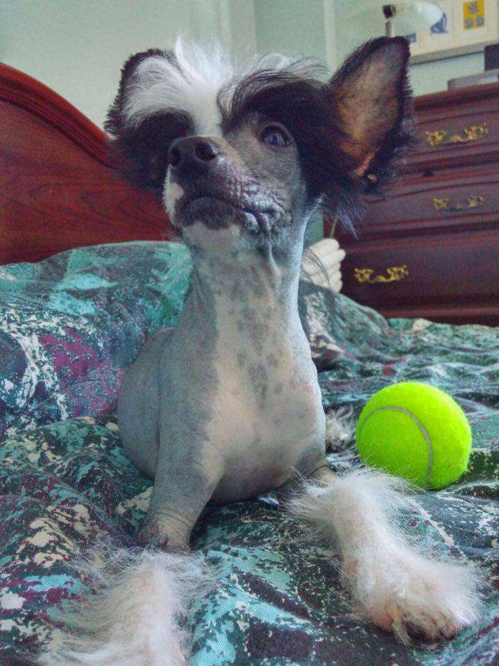 Magic of Success Love Me Tender