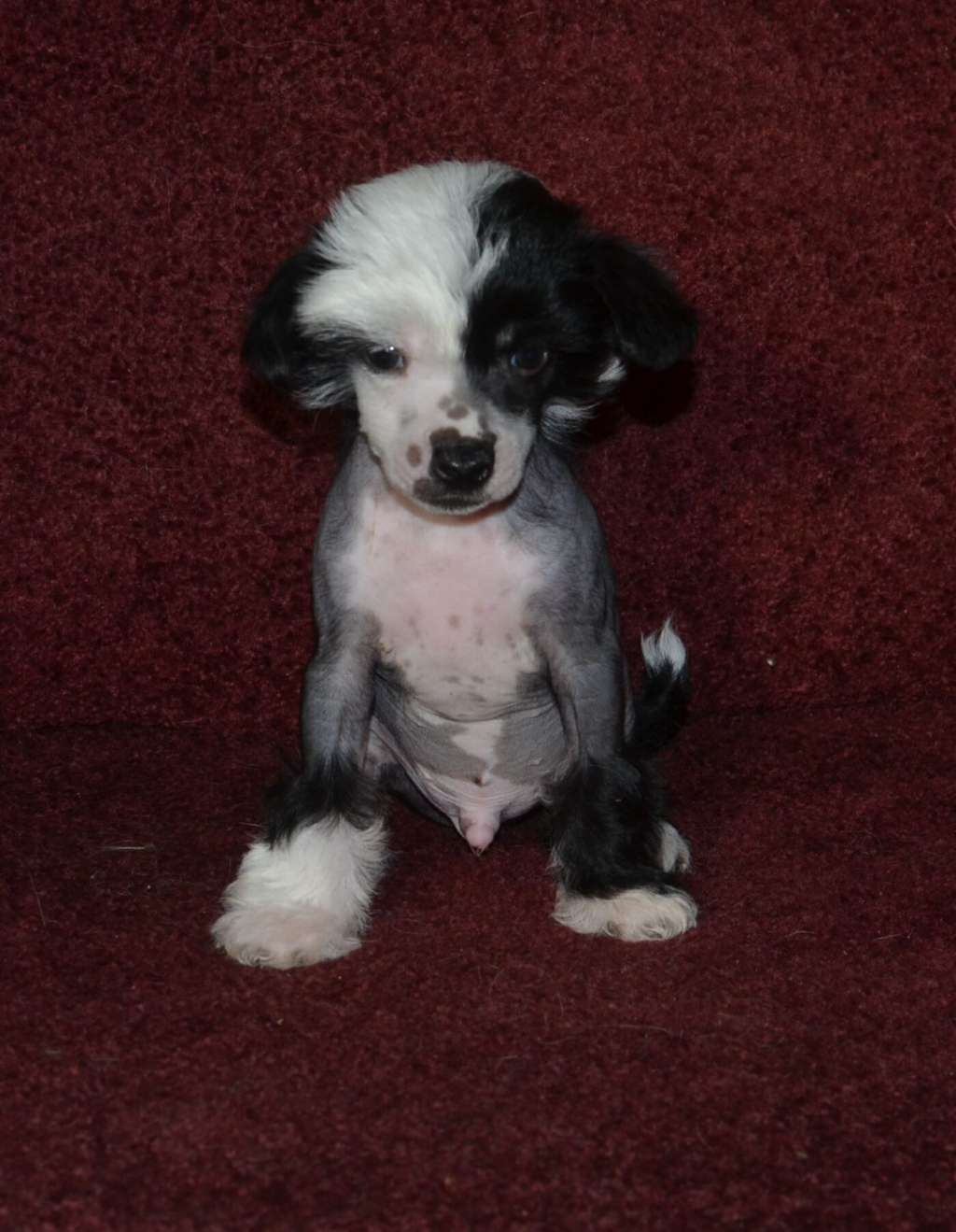 Magic of Success Orlando