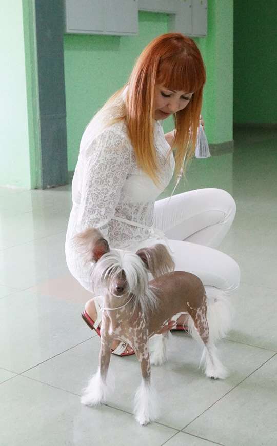 Muso Grazioso Romina in Propria Persona