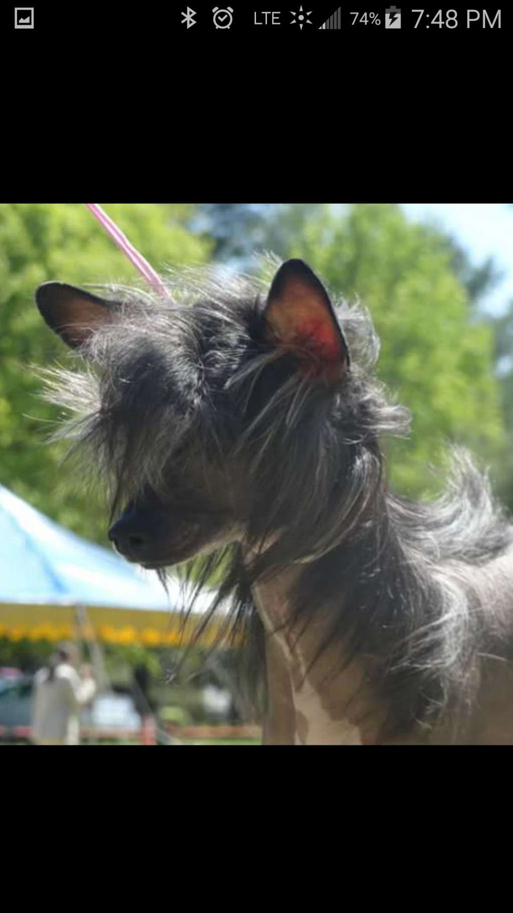 Outlaw's Divine Luminosity