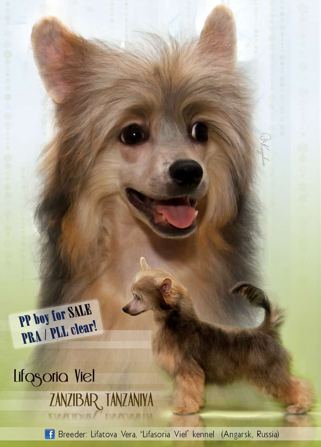 Lifasoria Viel Zanzibar Tanzaniya