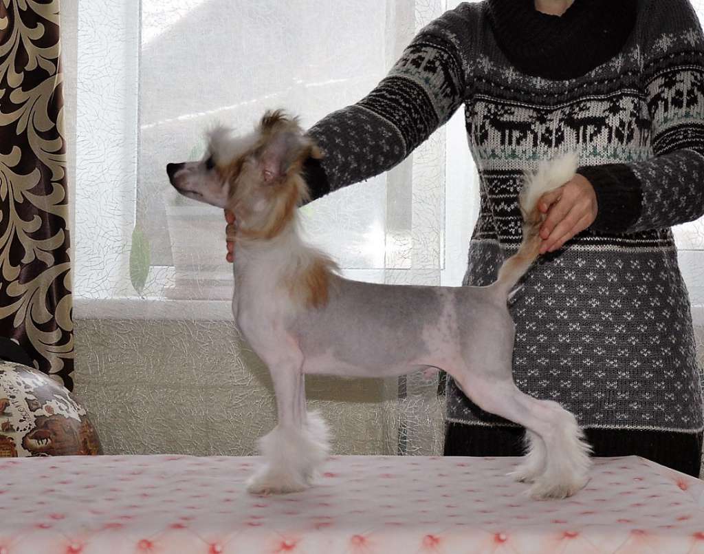 Sunny Jakov Winning Smile