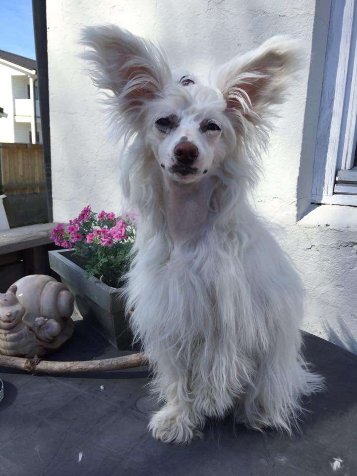 Abby Made of Frabies Beauties