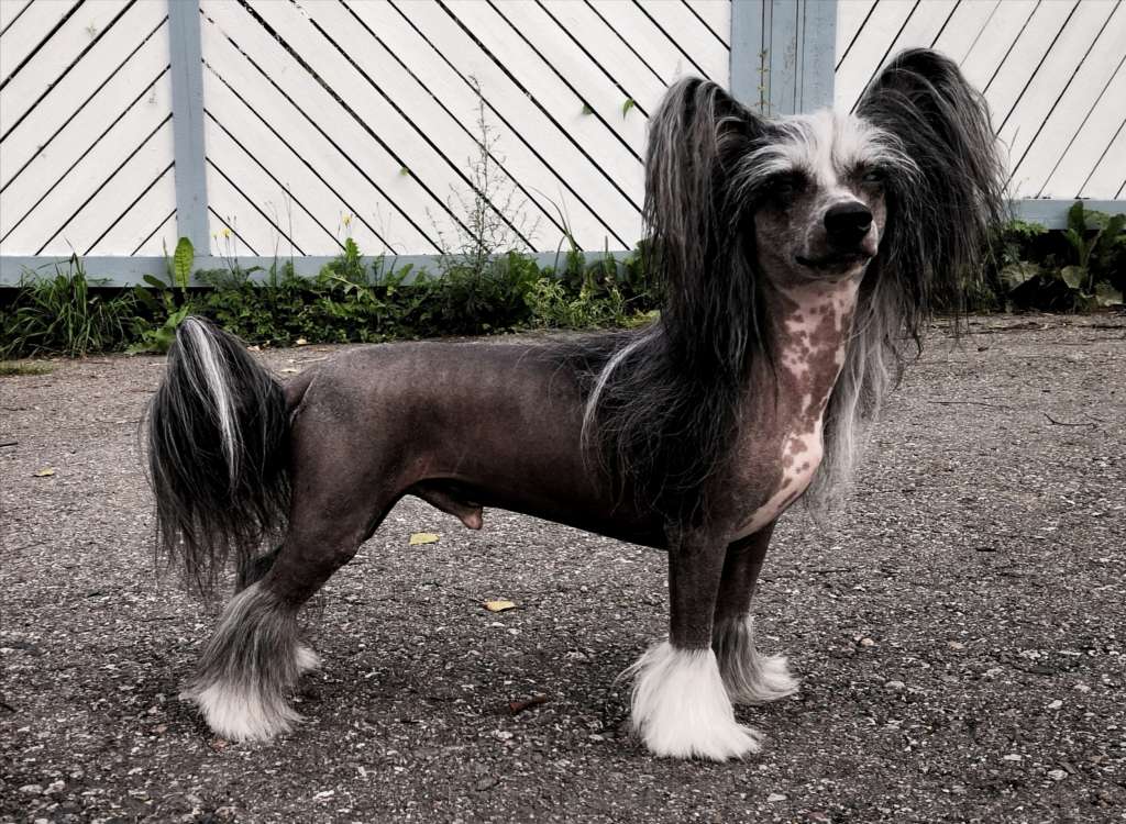 Aleksius Baltic Sunrise