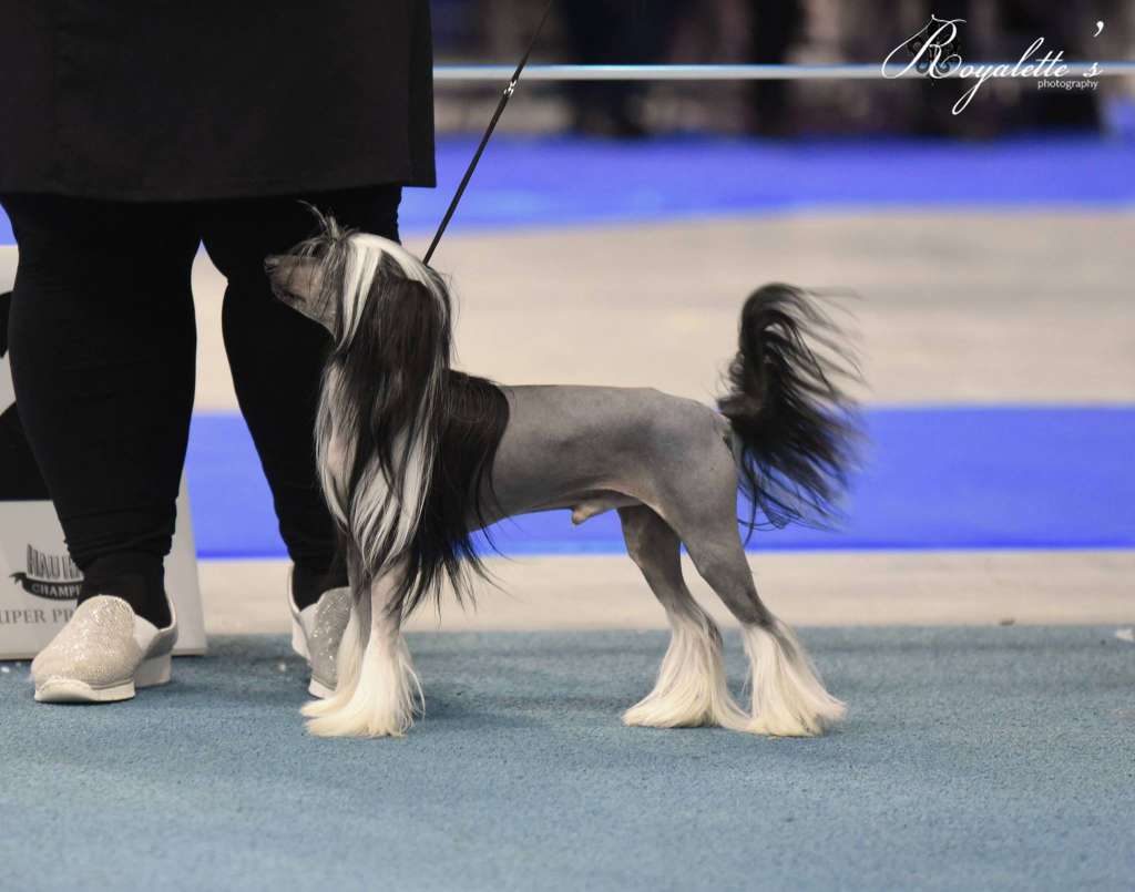 Kaitlin Kardashian Miami