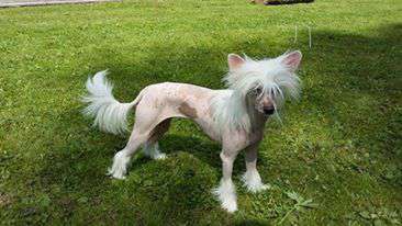 Kaitlin Kauhajoen Kardashian