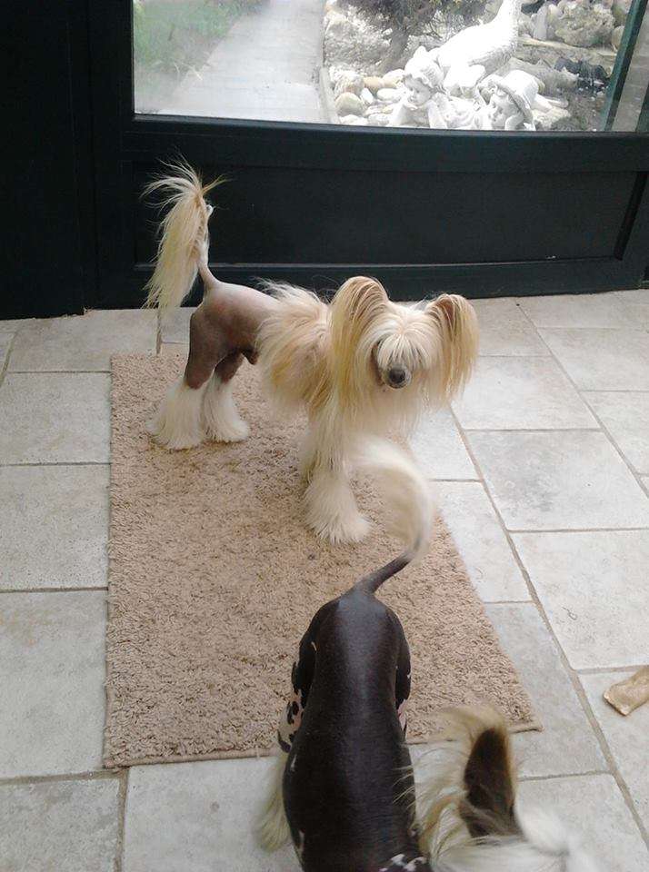 Il était une fois Obi-wan Kenobi